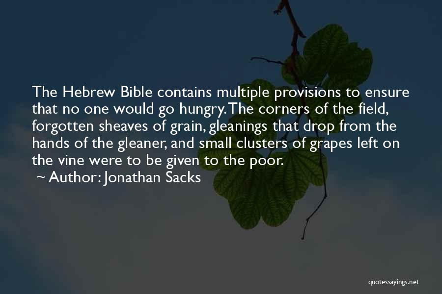 Jonathan In The Bible Quotes By Jonathan Sacks