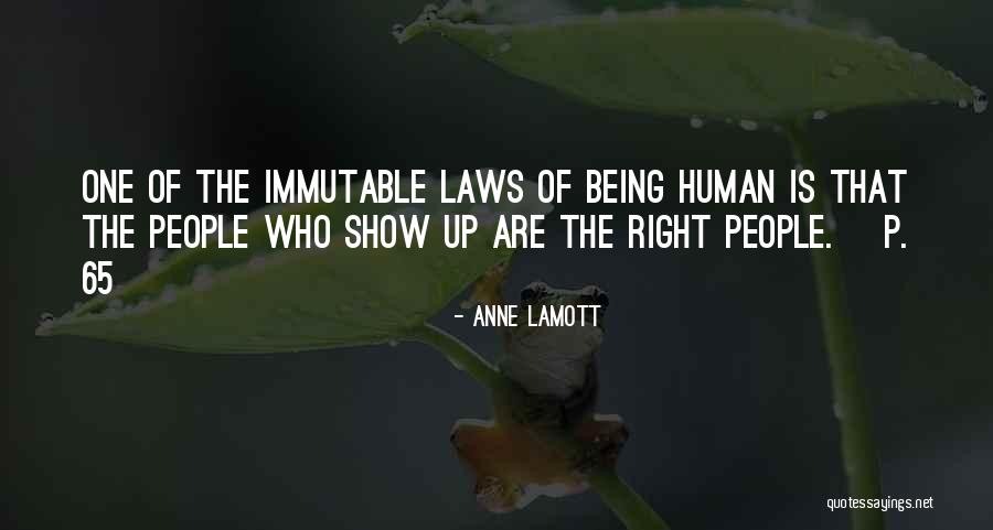 Jonathan Living Seagull Quotes By Anne Lamott Jonathan Living Seagull Quotes By Anne Lamott