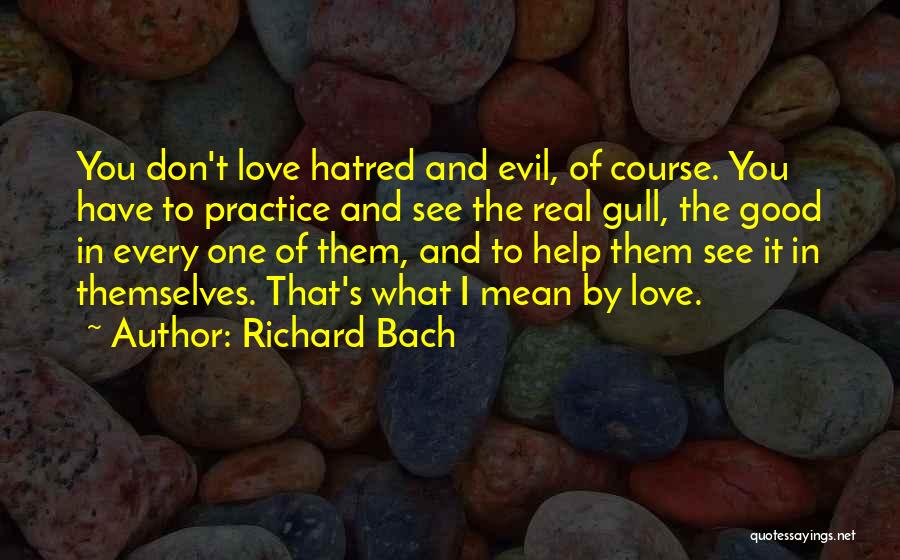 Jonathan Livingston Quotes By Richard Bach