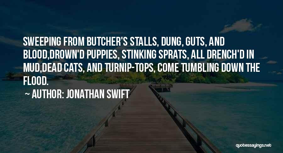 Jonathan Swift Quotes 1628706