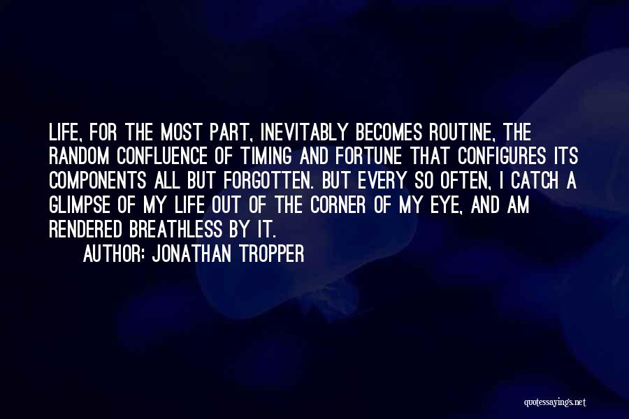 Jonathan Tropper Quotes 251728