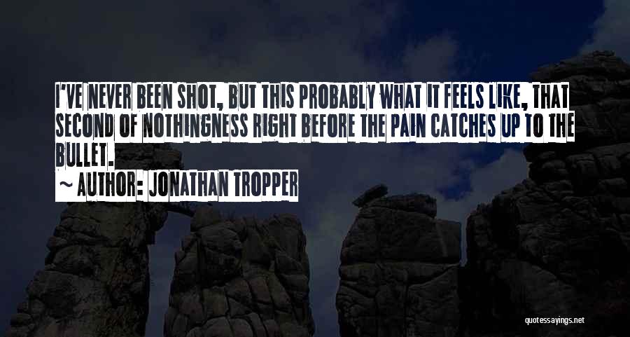 Jonathan Tropper Quotes 424300