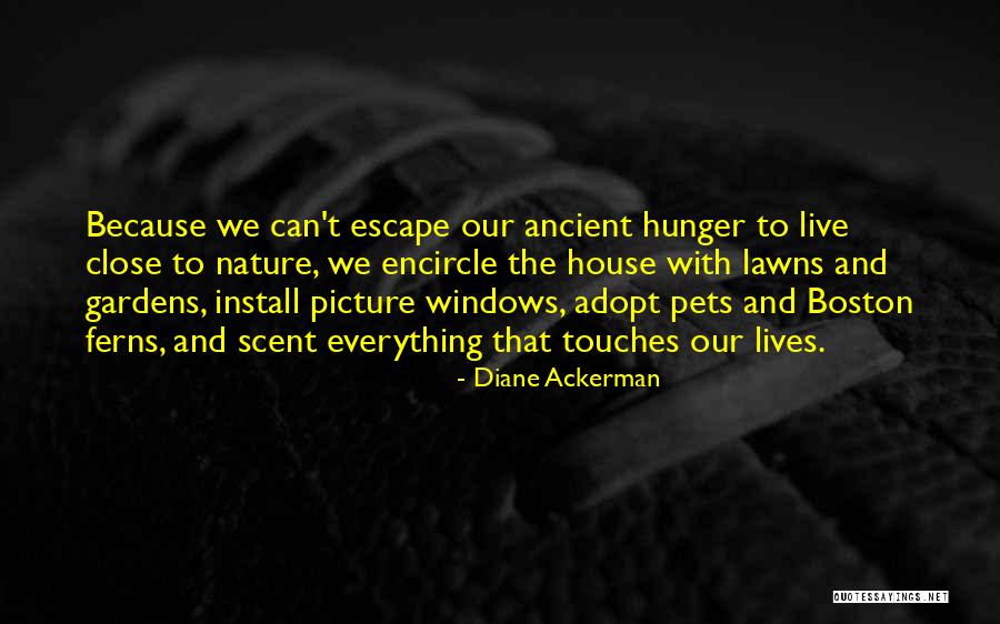 Jonesed Slang Quotes By Diane Ackerman Jonesed Slang Quotes By Diane Ackerman
