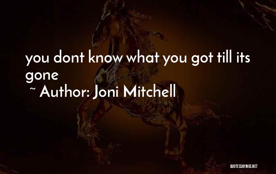 Joni Mitchell Quotes 1043748