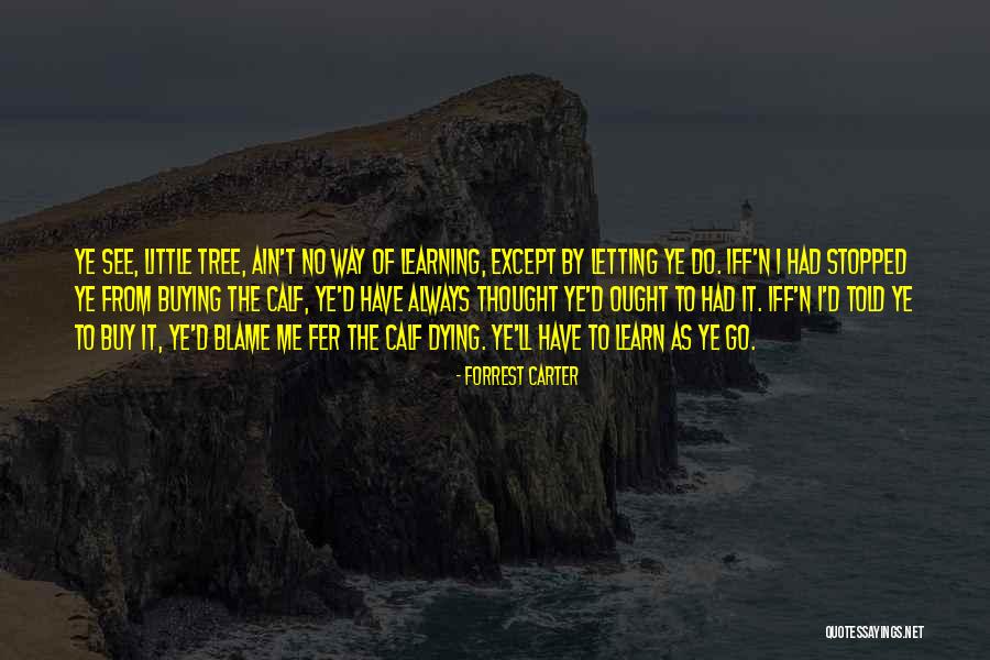 Jonik Toys Quotes By Forrest Carter Jonik Toys Quotes By Forrest Carter
