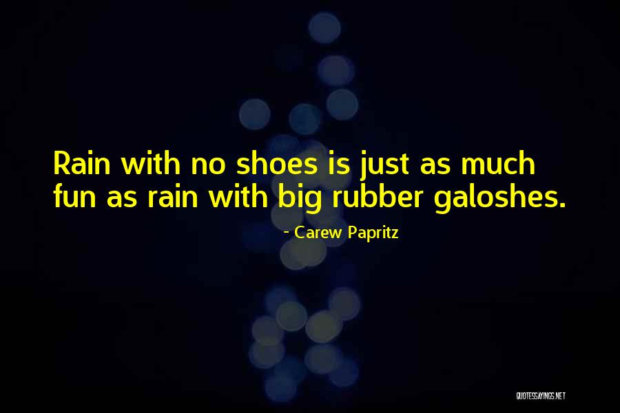 Jonklaas Renovation Quotes By Carew Papritz Jonklaas Renovation Quotes By Carew Papritz