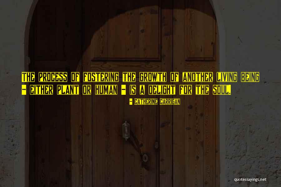 Jono Quotes By Catherine Carrigan Jono Quotes By Catherine Carrigan