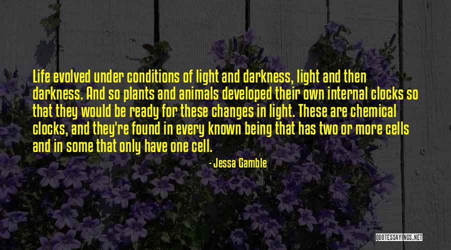 Joohyun Kim Quotes By Jessa Gamble Joohyun Kim Quotes By Jessa Gamble