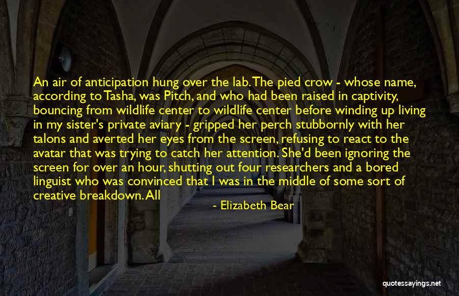 Joolia C Quotes By Elizabeth Bear Joolia C Quotes By Elizabeth Bear