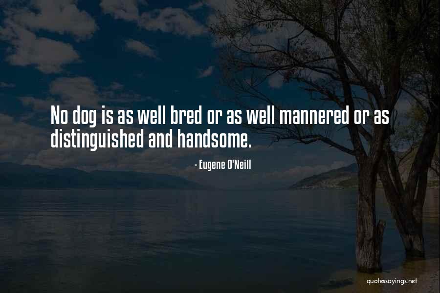 Jordanaires Wikipedia Quotes By Eugene O'Neill Jordanaires Wikipedia Quotes By Eugene O'Neill