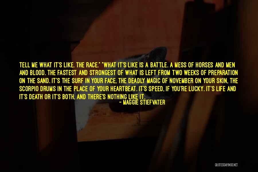 Joriel Troy Quotes By Maggie Stiefvater Joriel Troy Quotes By Maggie Stiefvater
