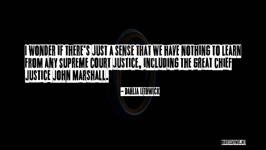 Jorien Bowens Quotes By Dahlia Lithwick Jorien Bowens Quotes By Dahlia Lithwick