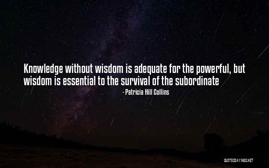 Jorinde Suy Quotes By Patricia Hill Collins Jorinde Suy Quotes By Patricia Hill Collins