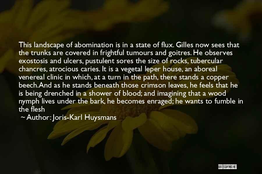 Joris-Karl Huysmans Quotes 1877957