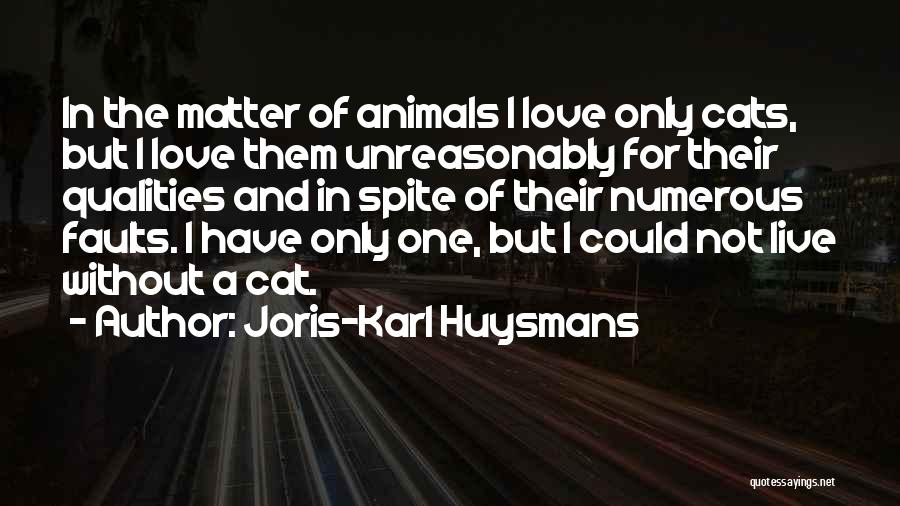 Joris-Karl Huysmans Quotes 77705