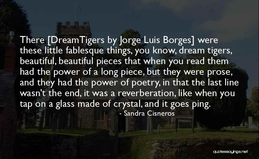 Joris Luyendijk Quotes By Sandra Cisneros Joris Luyendijk Quotes By Sandra Cisneros