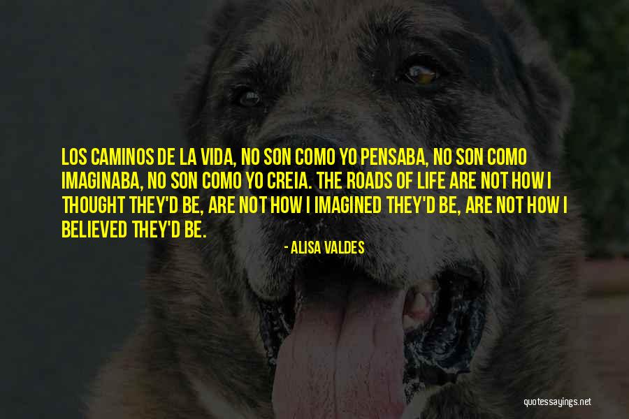 Jornales Escola Quotes By Alisa Valdes Jornales Escola Quotes By Alisa Valdes