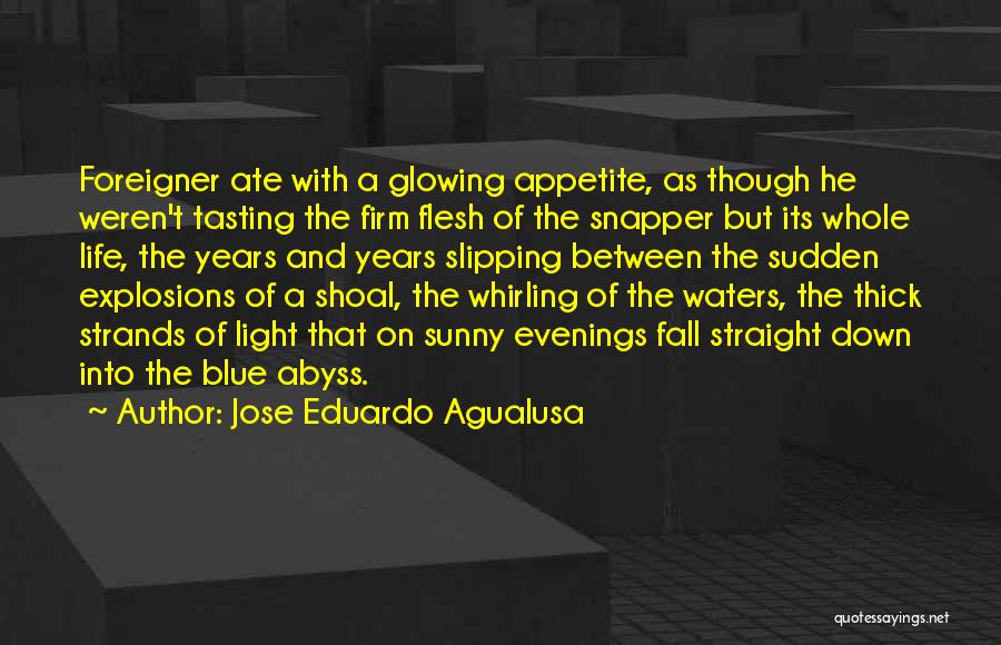 Jose Eduardo Agualusa Quotes 1229147