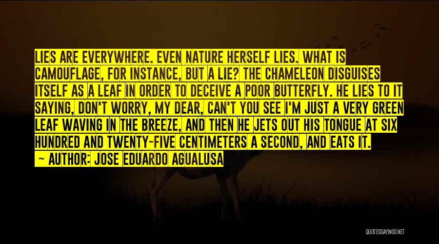 Jose Eduardo Agualusa Quotes 143141