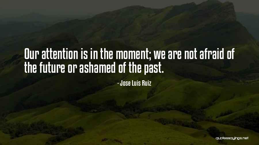 Jose Luis Ruiz Quotes 801297 Jose Luis Ruiz Quotes 801297