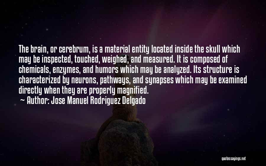Jose Manuel Rodriguez Delgado Quotes 481877