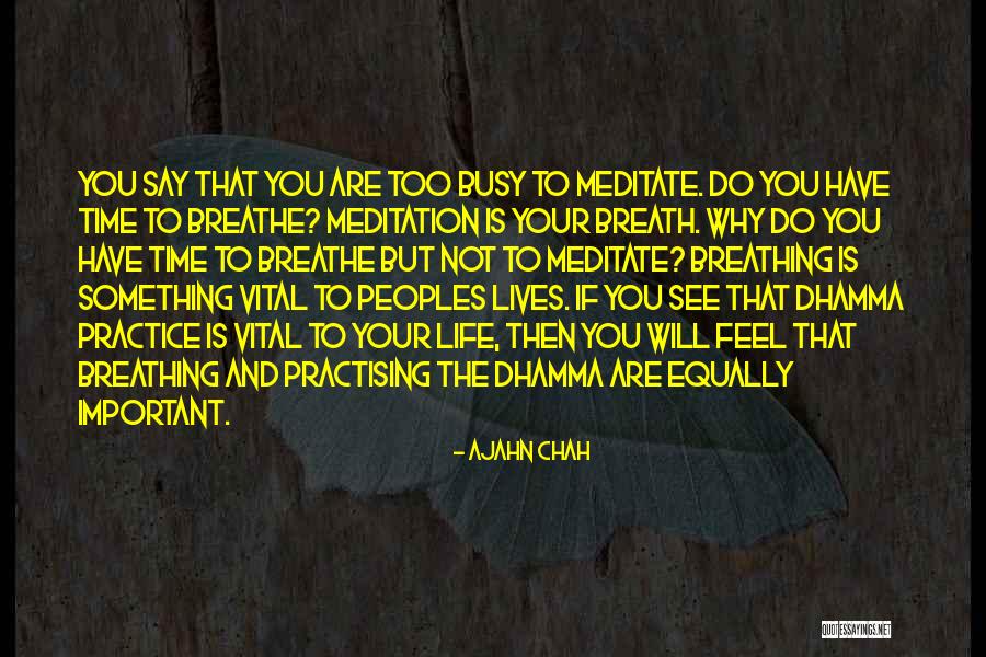 Jose Marie Quotes By Ajahn Chah Jose Marie Quotes By Ajahn Chah