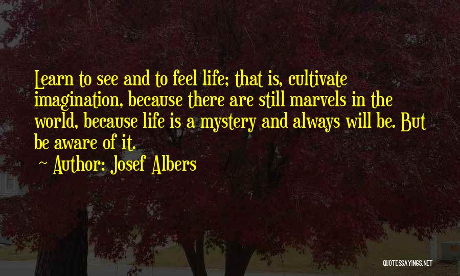 Josef Albers Quotes 1915776