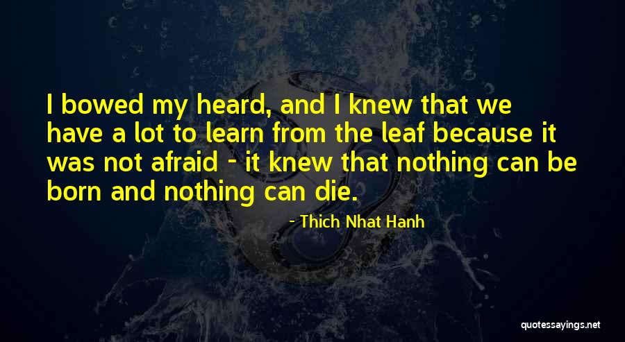 Josef Potocki Quotes By Thich Nhat Hanh Josef Potocki Quotes By Thich Nhat Hanh