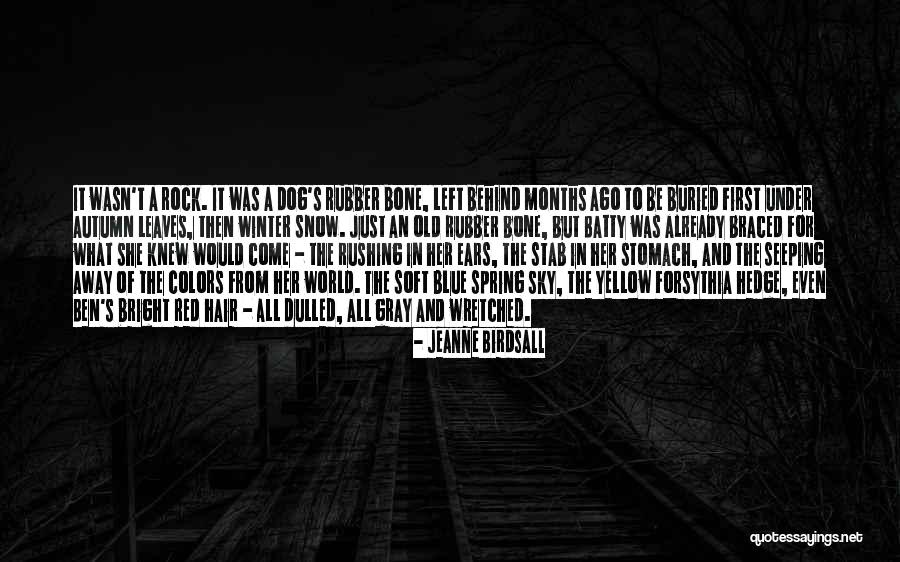 Josefien Derijcke Quotes By Jeanne Birdsall Josefien Derijcke Quotes By Jeanne Birdsall