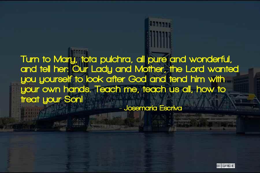 Josemaria Escriva Quotes 1039222