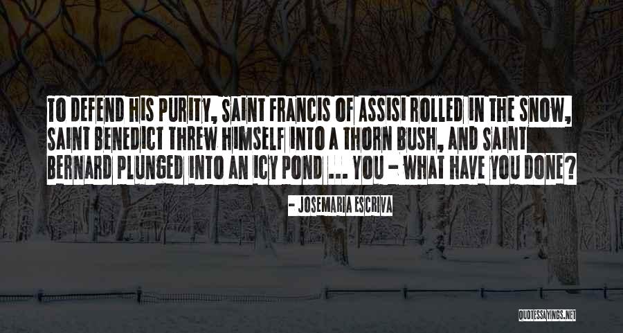 Josemaria Escriva Quotes 424043 Josemaria Escriva Quotes 424043