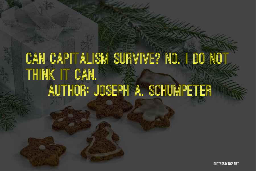 Joseph A. Schumpeter Quotes 1237686