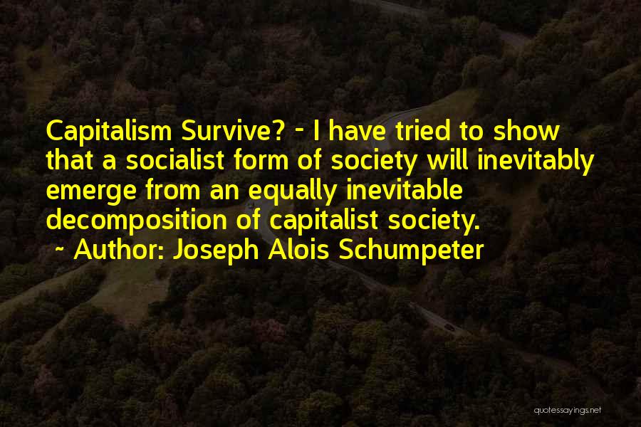 Joseph Alois Schumpeter Quotes 695858