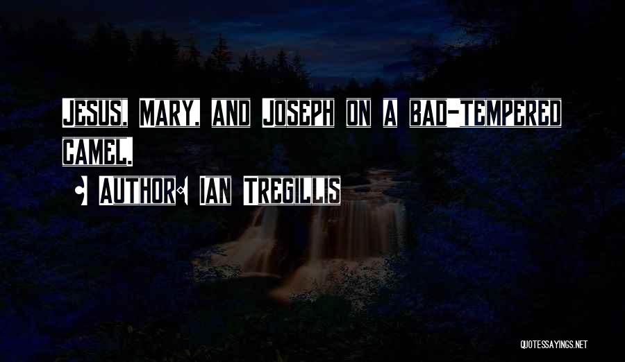 Joseph And Mary Quotes By Ian Tregillis