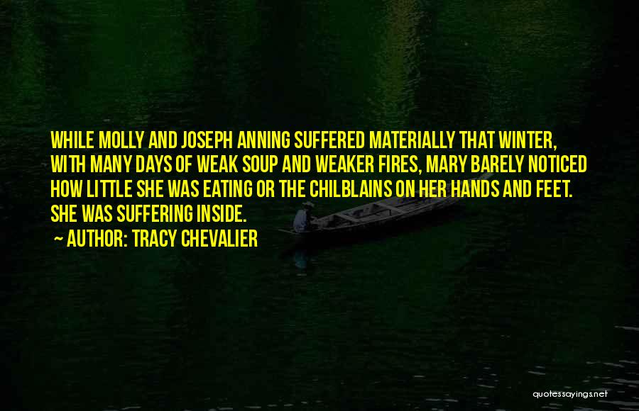 Joseph And Mary Quotes By Tracy Chevalier