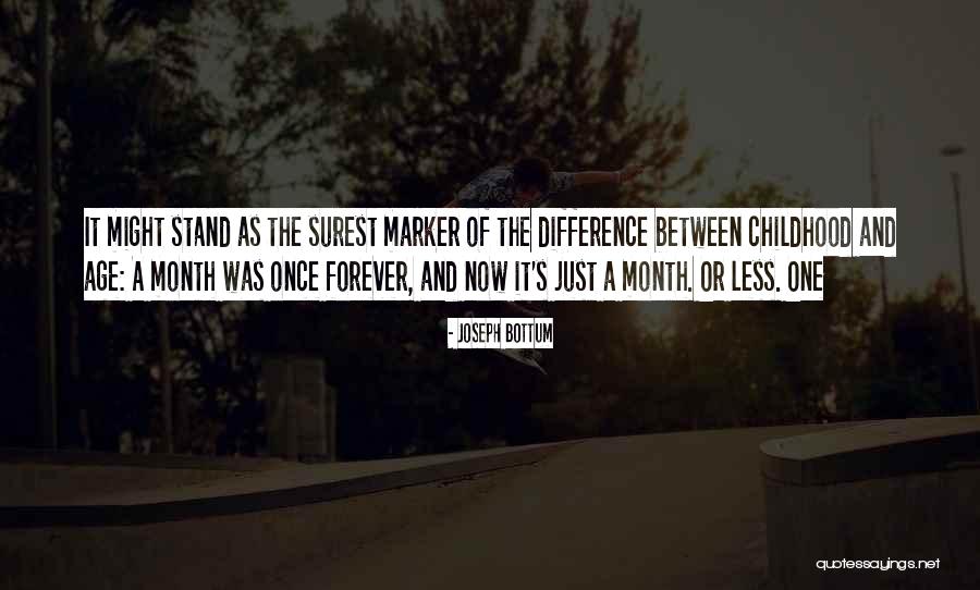 Joseph Bottum Quotes 2179474 Joseph Bottum Quotes 2179474
