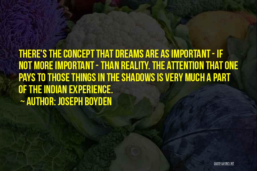 Joseph Boyden Quotes 1654164