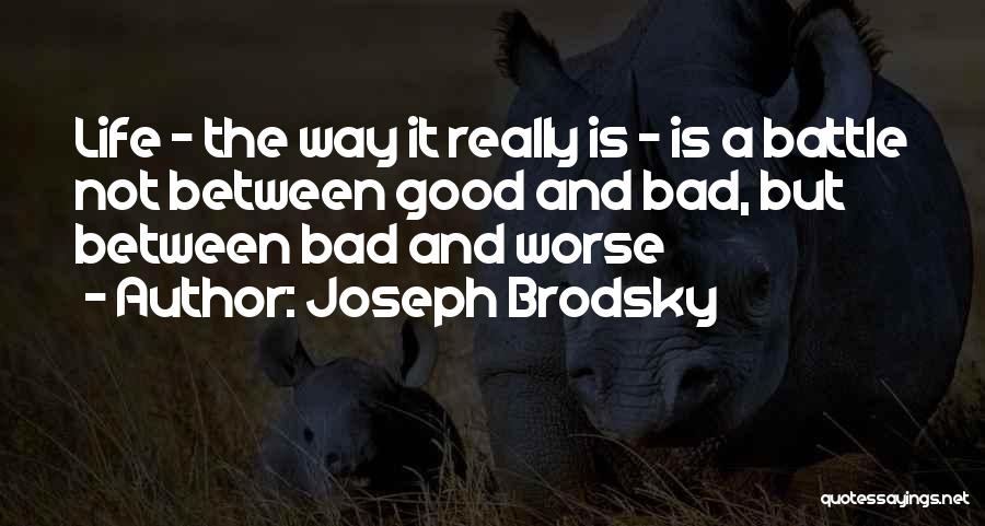 Joseph Brodsky Quotes 177120