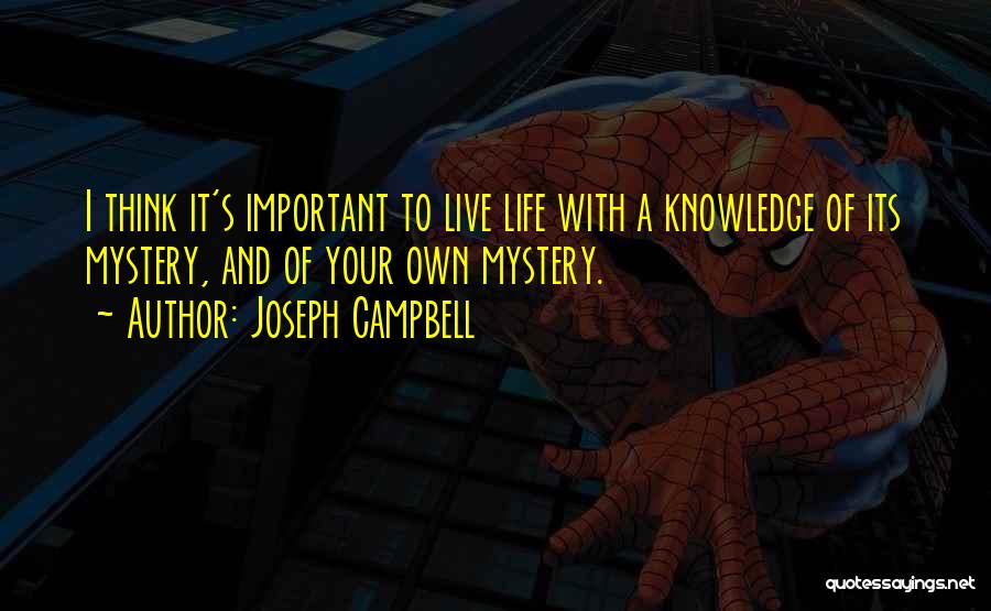 Joseph Campbell Quotes 1189057