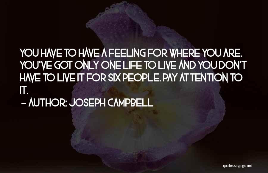 Joseph Campbell Quotes 2204334