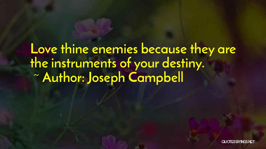 Joseph Campbell Quotes 858167