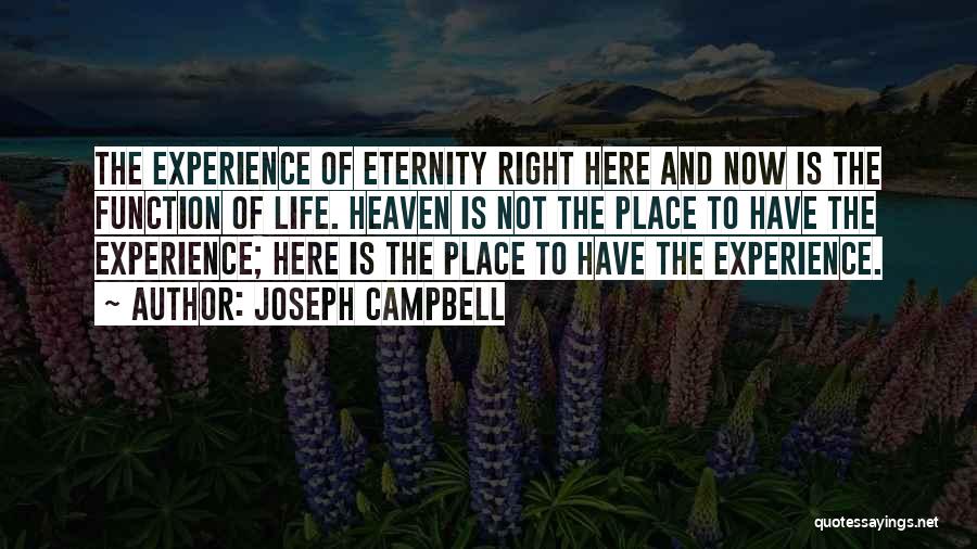 Joseph Campbell Quotes 99412