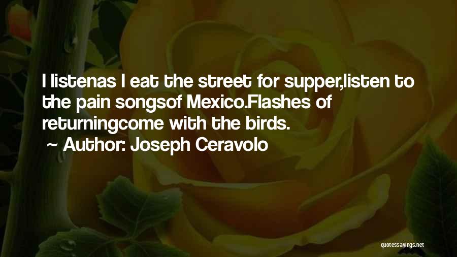 Joseph Ceravolo Quotes 1964822