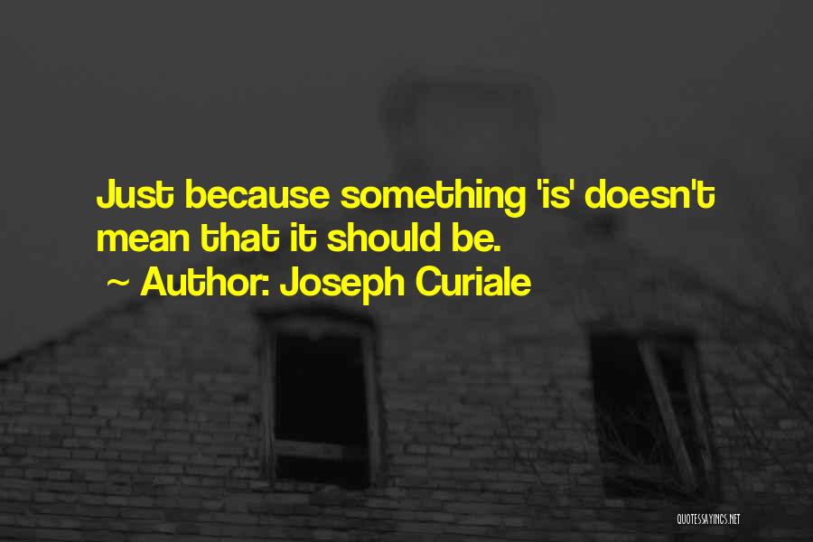 Joseph Curiale Quotes 1642388