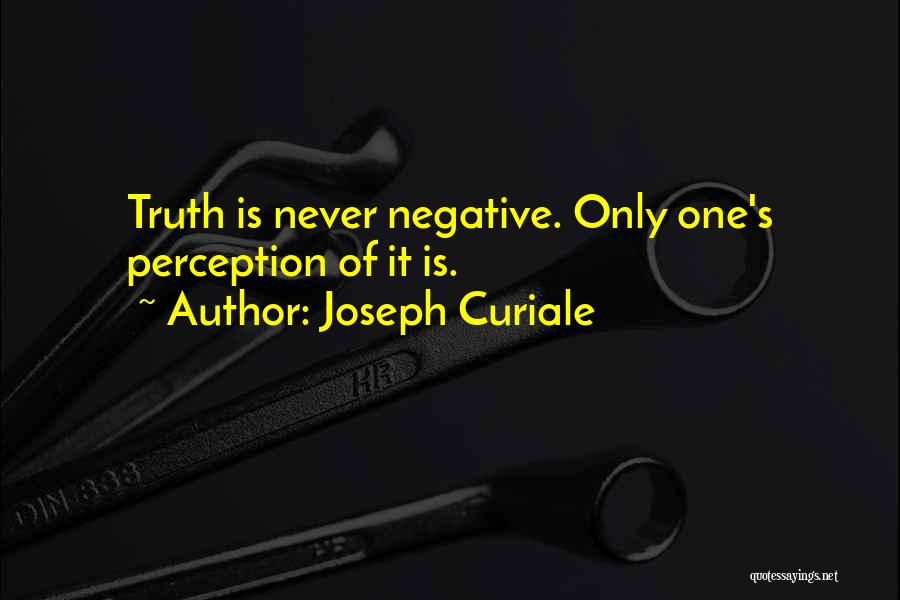 Joseph Curiale Quotes 1653656