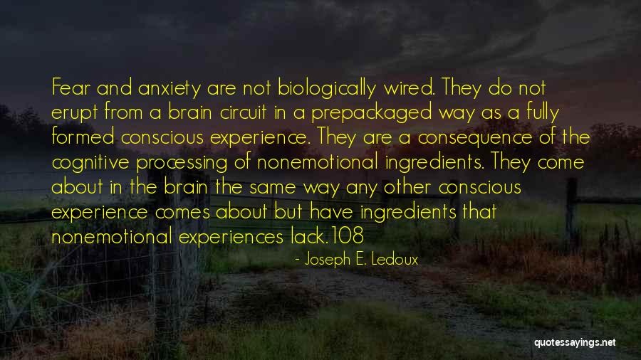 Joseph E. Ledoux Quotes 1266235 Joseph E. Ledoux Quotes 1266235