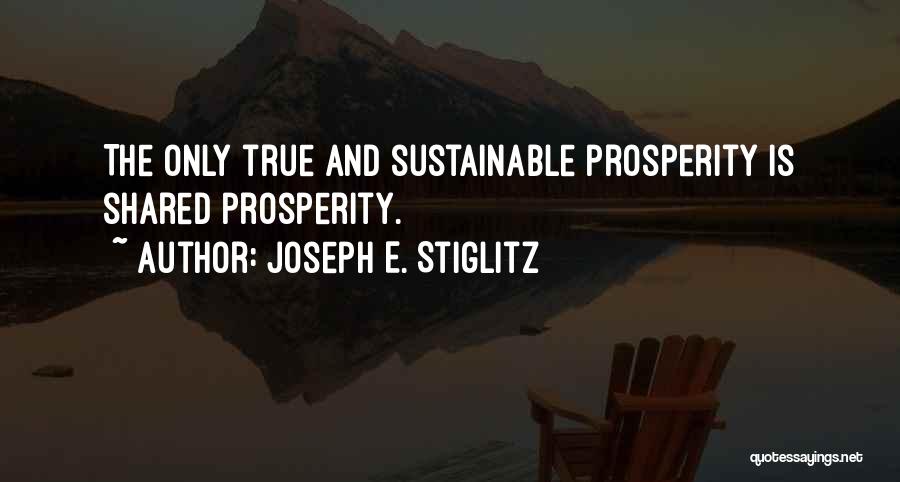 Joseph E. Stiglitz Quotes 1614620