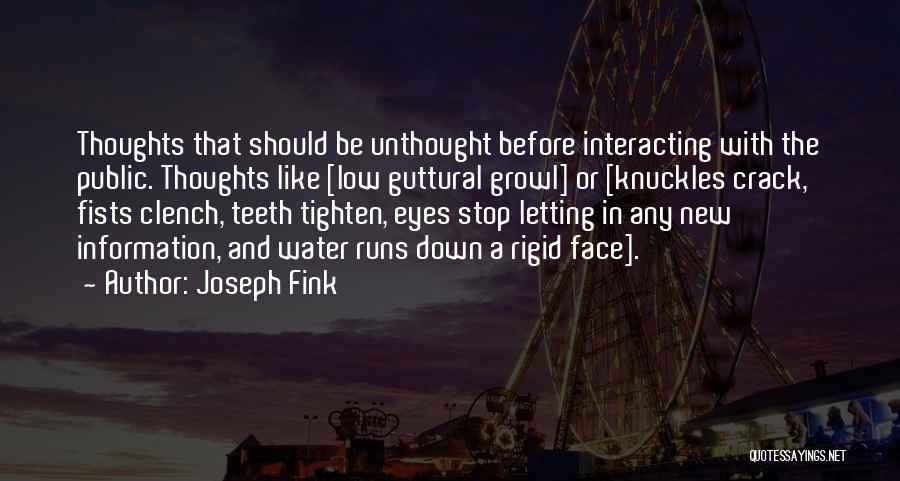 Joseph Fink Quotes 1342239