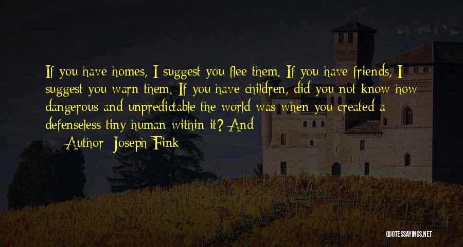 Joseph Fink Quotes 2231254