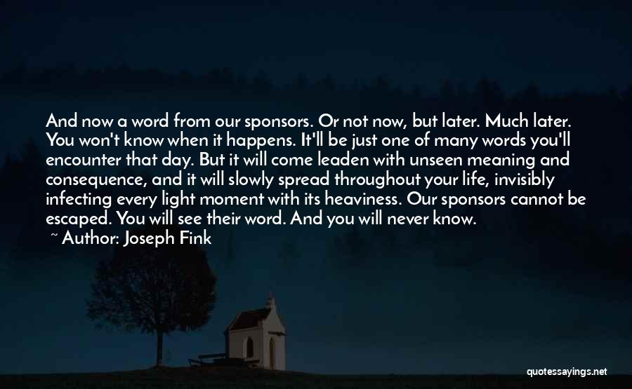 Joseph Fink Quotes 542017